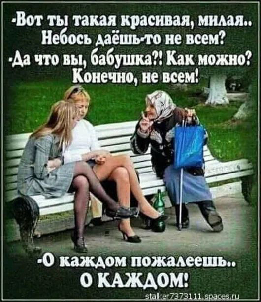 Вот ты такая красивая шип Небось даёшьию не всем Аа что вы бабушка Как ишшо Конечно не щем омпбщееші 0 КАДОМ