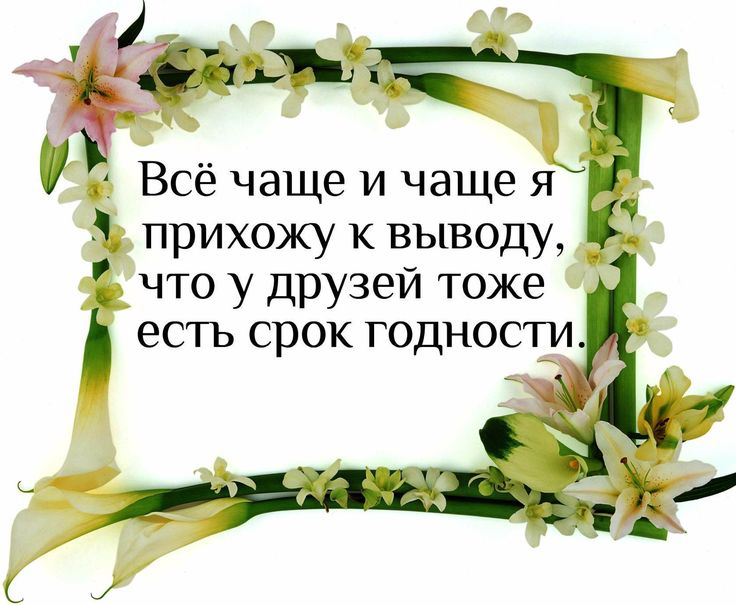 А Всё чаще и чаще я 1 прихожу к выводу _ что у друзей тоже есть срок годностуъ