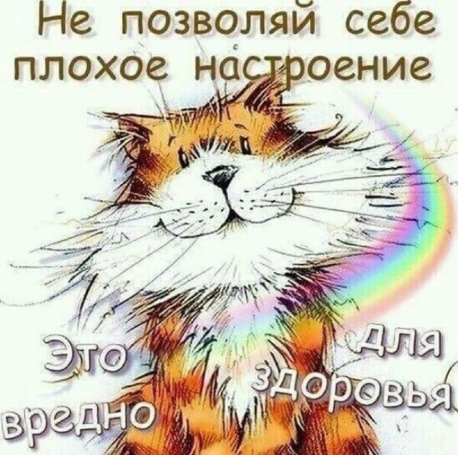 Не позволяй себе