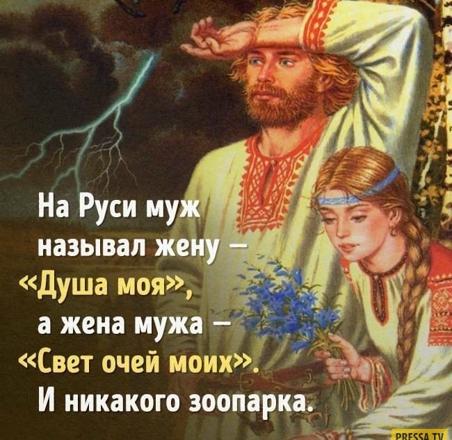 Свет очей моих И никакого зоопарка