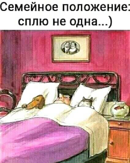 Семейное положение сплю не одна