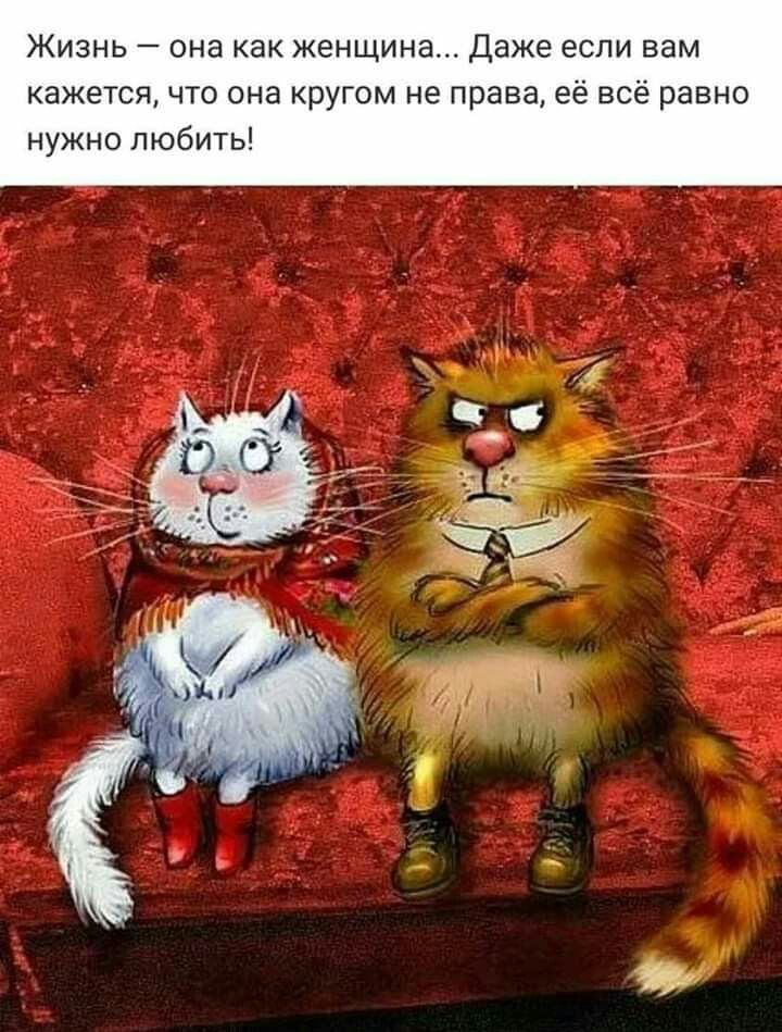 Жизнь она как женщина даже если вам кажется что она кругом не права её всё равно нужно любить