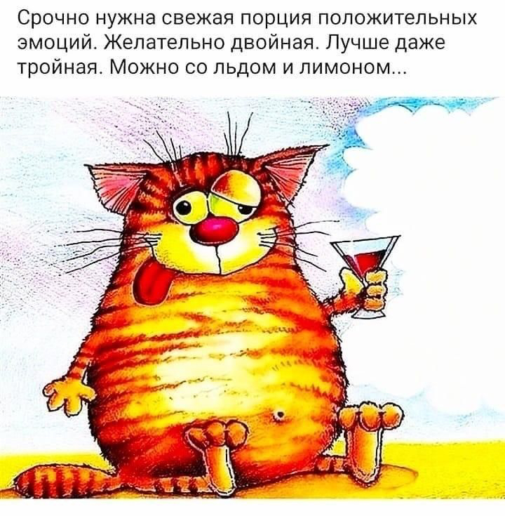 Срочно нужна свежая порция положительных эмоций Желательно двойная Лучше даже тройная Можно со льдом и лимоном