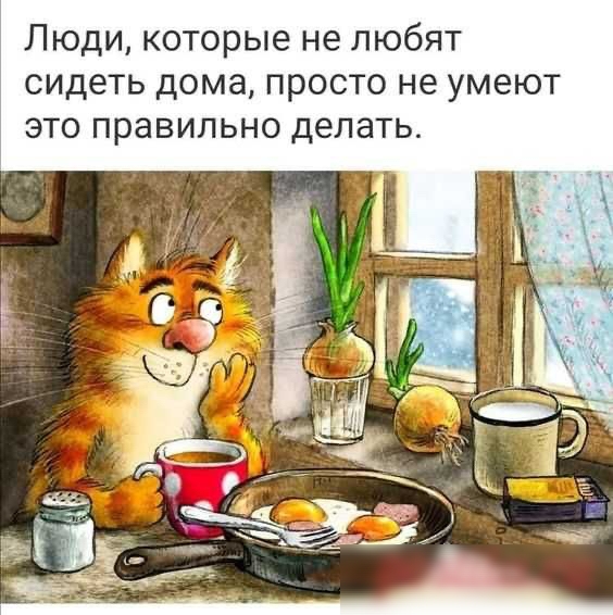 Люди которые не любят сидеть дома просто не умеют это правильно делать
