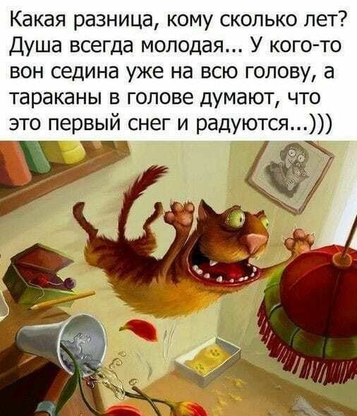 Какая разница кому сколько лет Душа всегда молодая У когото вон седина уже на всю голову а тараканы в голове думают что это первый снег и радуются тги 1