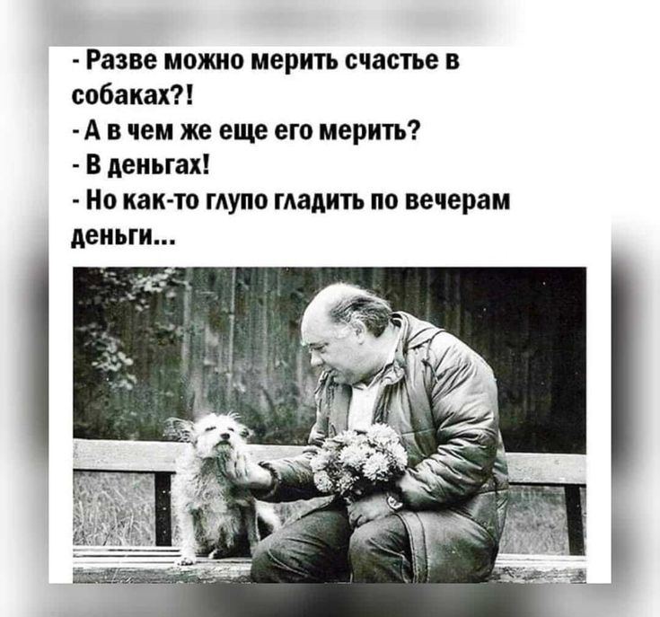 Разве можно мерить счастье в собаках А в чем же еще его мерить В деньгах Но как то тупо гладить по вечерам деньги