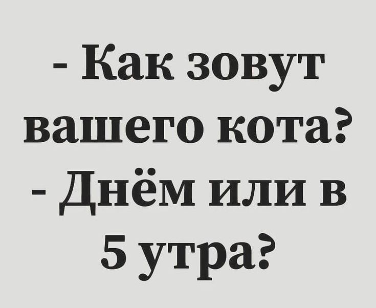 Как зовут вашего кота Днём или в 5 утра