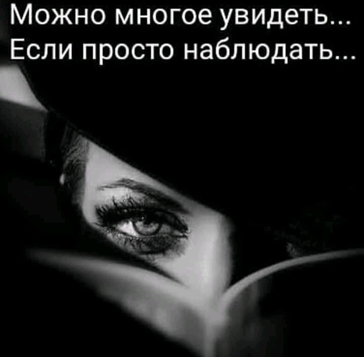 Можно многое увидеть Если просто наблюдать