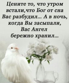 Цените то что утрам встали что Биг от сна Вас разбудил А в ночь когда Вы засыпали Вас Ангел бережни хранил