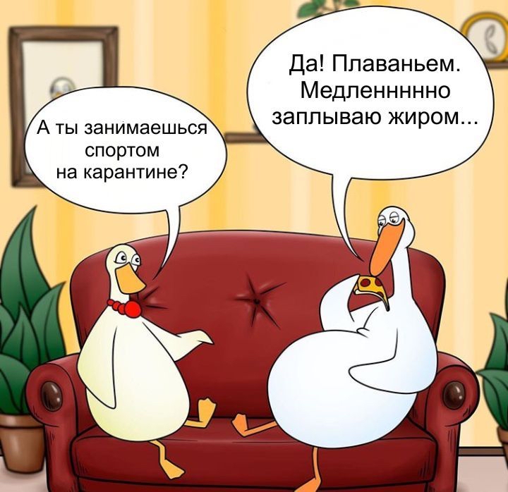 Да Ппаваньем Медпеннннно заплываю жиром А ты занимаешься спортом на карантине