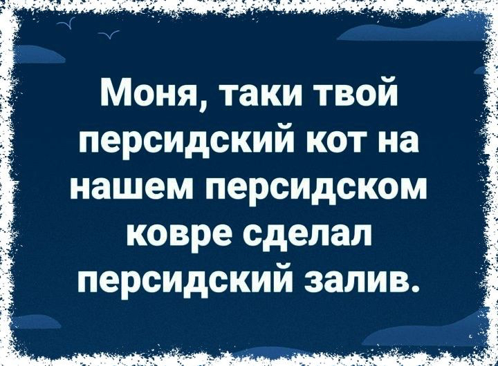 Моня таки твой персидский кот на нашем персидском ковре сделал персидский залив