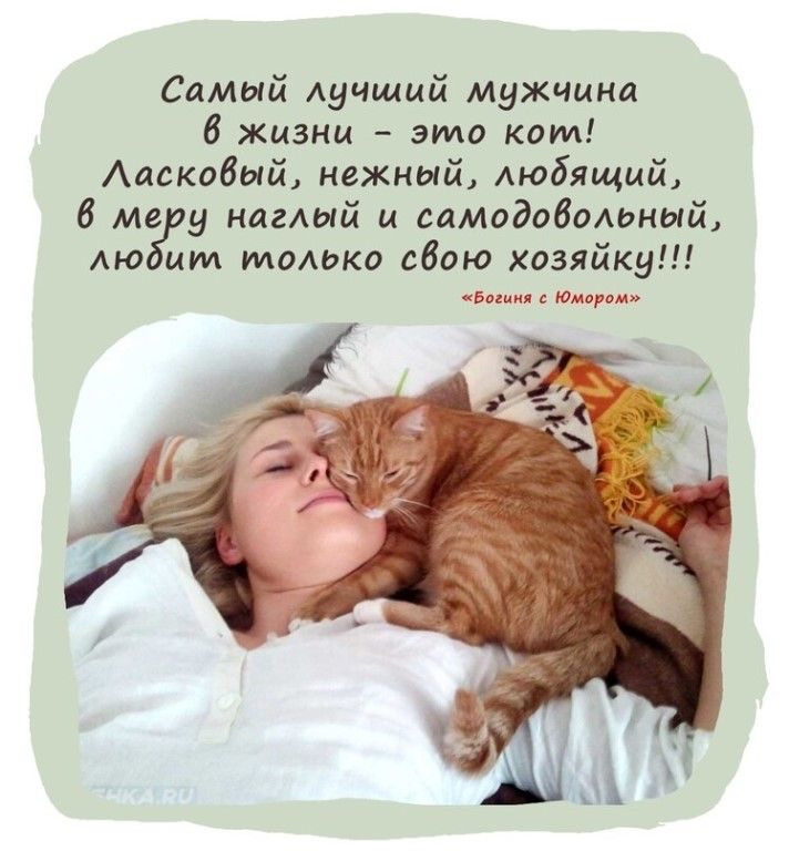 Самый лучший мужчина 6 жизни  это кот! Ласковый, нежный, любящий, 6 мебру наглый и самодовольный, любии только свою хозяйку!!! Вогиня с юмором»