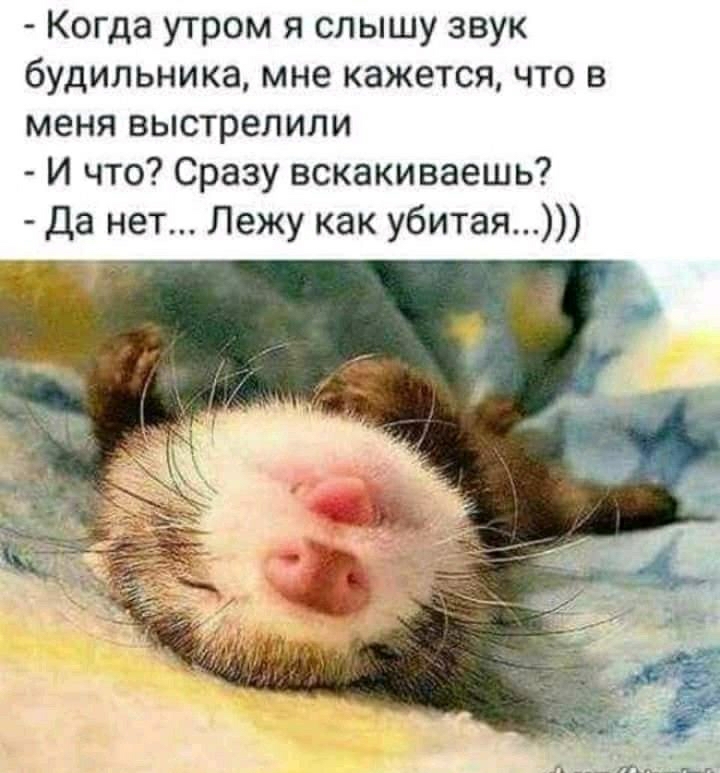 Когда утром я слышу звук будильника мне кажется что в меня выстрелили И что Сразу вскакиваешь Да нет Лежу как убитая