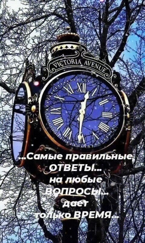 с та ролих ыа  самые правильные;
