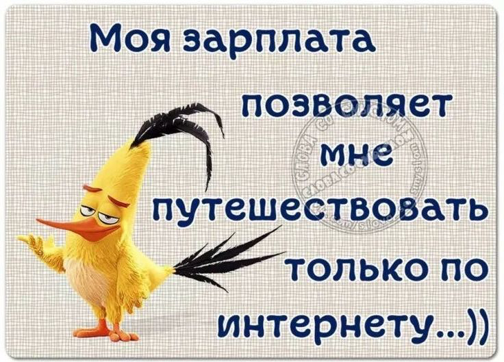 Моя зарплата позволяет мне _ путешеётвовать только по интернету