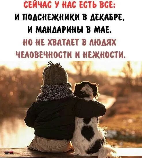 И подснежники в декабре, и мандарины в мае. 0 не хватает в людях человечности и нежности.