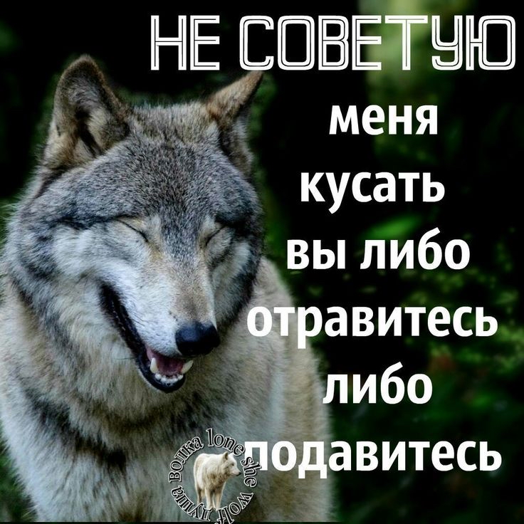 меня кусать ъВЬЛИбО вавитесь ибо витесь