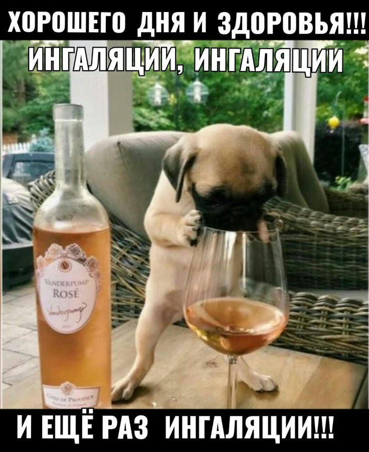 Х0р0шег0 дня и здоговьят и ещё раз ингаляции!и
