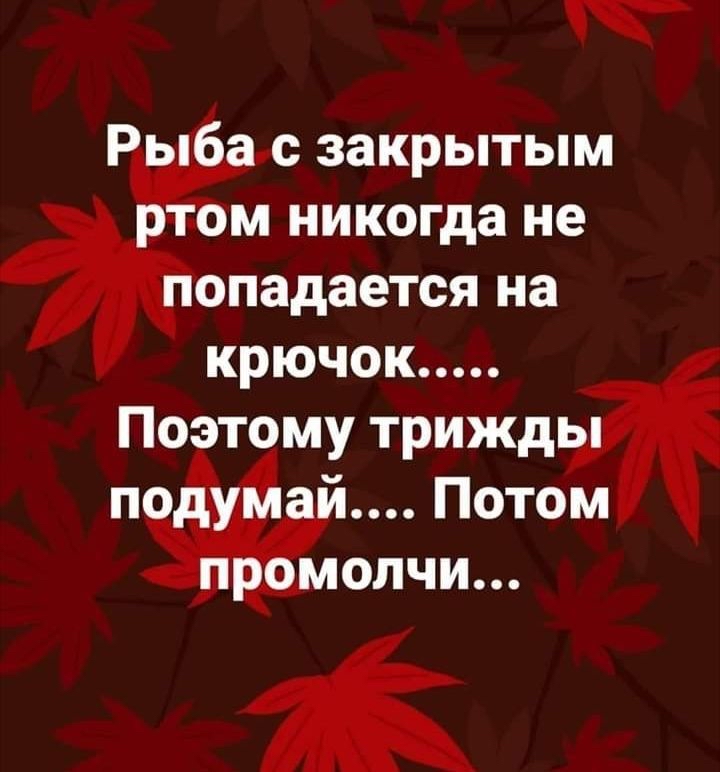 чт Р 6 с закрытым м никогда не опадается на крючок Поэтому трижд Потом ОЛЧИ