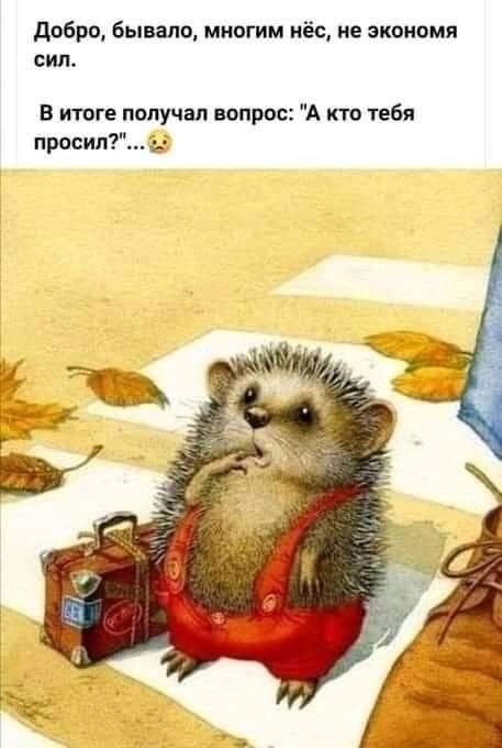 Добро, бывало, многим нёс, не экономя сил. В итоге получал вопрос: 