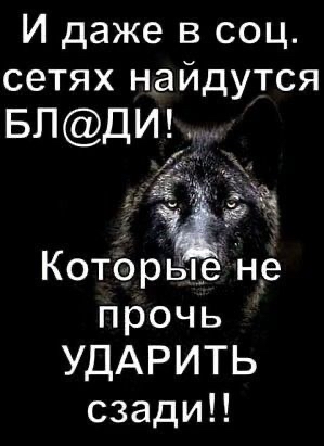 Идажевсоц сетях найдутся БПДИ КоторыёНе прочь УДАРИТЬ сзади