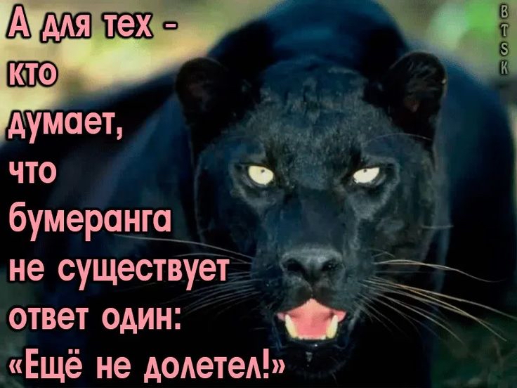 Гдумает, что  бумеранга  не существует ответ один: «ещё не долетел»