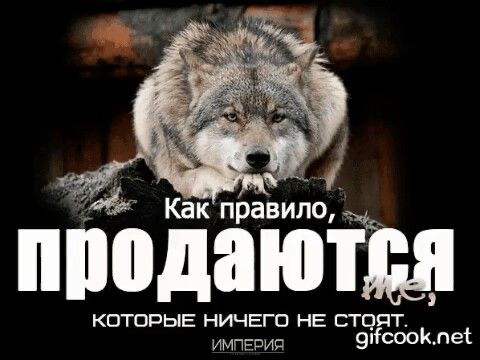 22 как правило м2 шюдаюп;д которые ничего не сто империя 9нсоок.пеё