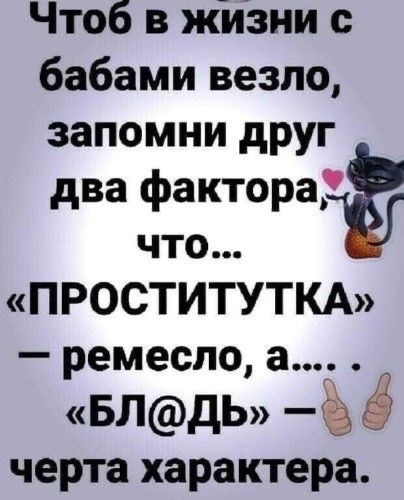 Чтоб В ЖИЗНИ с бабами везло запомни друг два факторат что ПРОСТИТУТКА ремесло а БЛдЬ ё черта характера