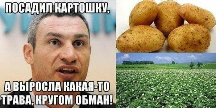 'мвыросла какая:то травайкругом обман!