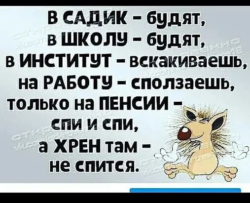 В садик  будят, в школэ  будят, в инститчут  векакиваешь, на работу  сползаешь, только на пенсии  епи и епи, а хрен там  не спитея.
