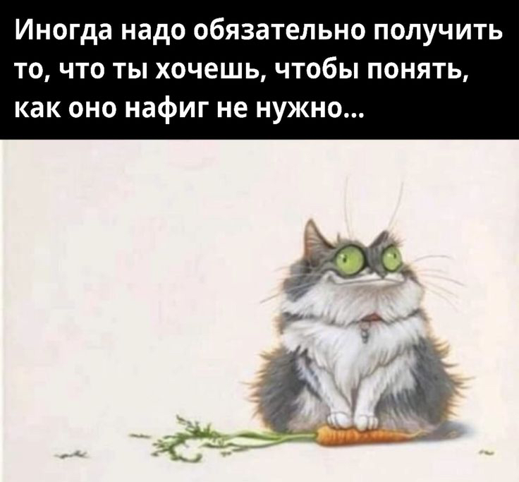 Иногда надо обязательно получить то, что ты хочешь, чтобы понять, как оно нафиг не нужно...