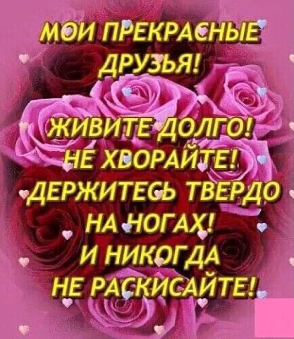 Мои прекраеные? Ы друзья!  '  27  к живите олго еалнё хвомитвй «держитесь твердо  наногах!   Иникогда  не расисёайть
