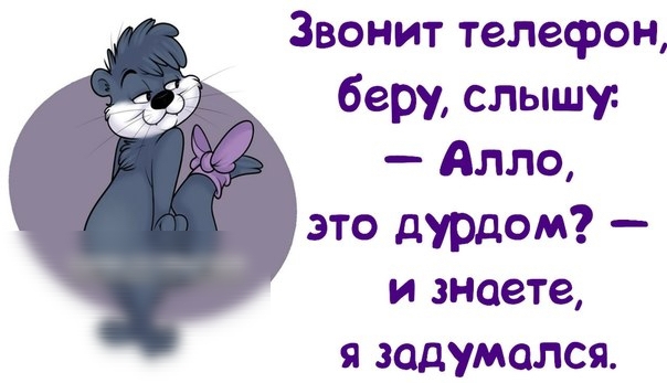 Звонит телефон беру слышу Алло это дурдом и знаете задумался