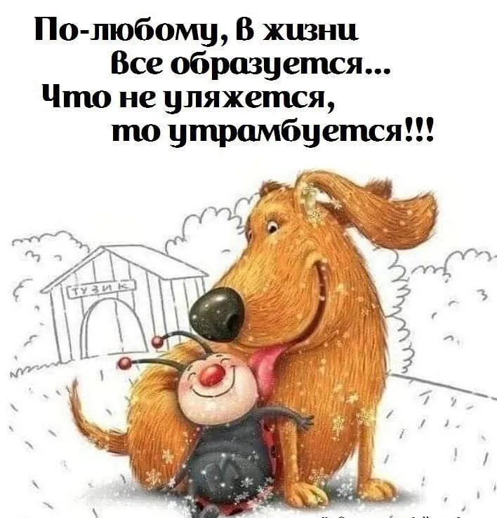 По шобому В жизни Все образуется Что не уляжется то утрамбуется