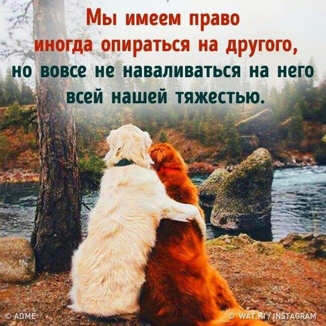 Мы имее огдаопи; на другог е не наваливаться на него