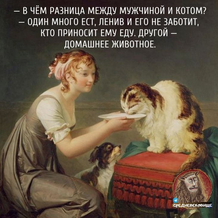 В ЧЕМ РАЗНИЦА МЕЖДУ МУЖЧИНОЙ И КОТОМ ОДИН МНОГО ЕСТ ЛЕНИВ И ЕГО НЕ 3АБОТИТ КТО ПРИНОСИТ ЕМУ ЕДУ ДРУГОЙ ДОМАШНЕЕ ЖИВОТНОЕ