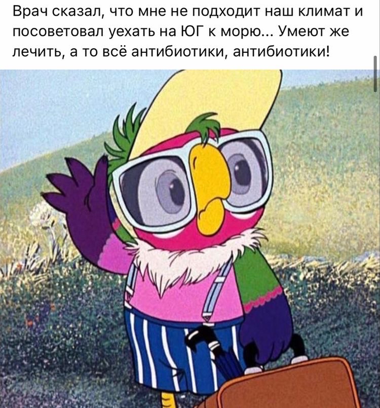 Врач сказал, что мне не подходит наш климат и посоветовал уехать на юг к морю... Умеют же лечить, а то всё антибиотики, антибиотики! 1