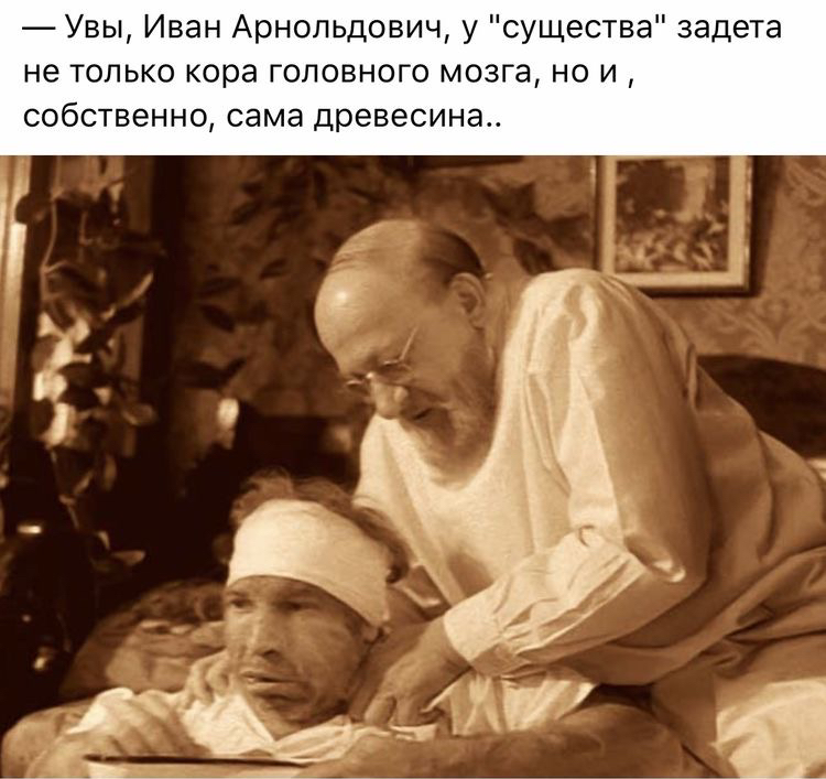 Увы Иван Арнольдович у существа задета не только кора головного мозга но и собственно сама древесина