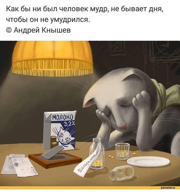 Как бы ни был человек мудр не бывает дня чтобы он не умудрился Андрей Кнышев