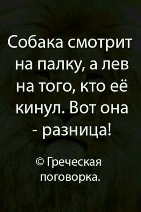Собака смотрит на палку, а лев на того, кто её кинул. Вот она  разница!  Греческая поговорка.