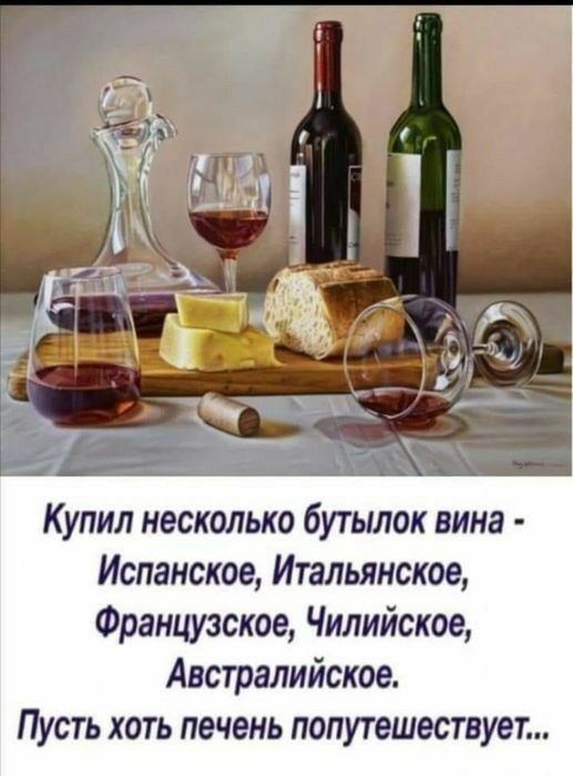 Купил несколько бутылок вина Испанское Итальянское Французское Чилийское Австралийское Пусть хоть печень попутешествует