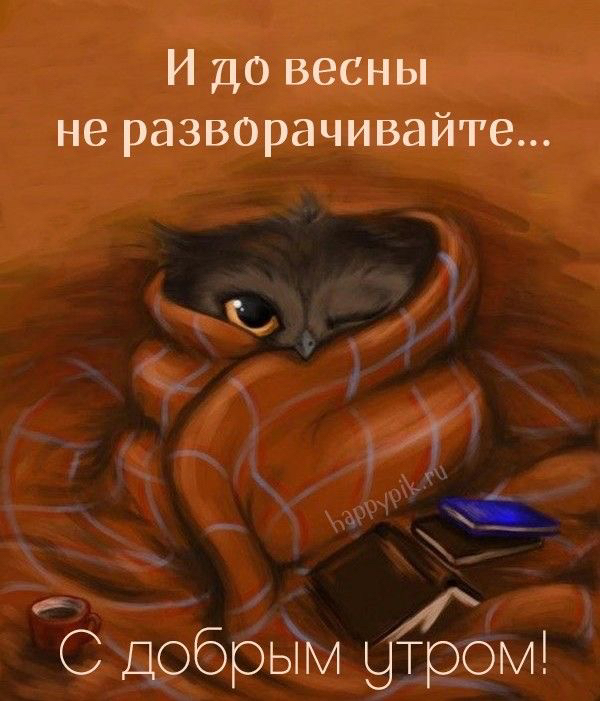 И до весны не разворачивайте С ДобрьТм ЁЁОМ