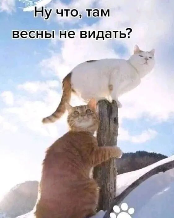 Ну что там весны не видать