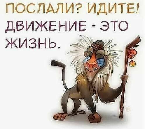 Послали? Идите! Движение  это