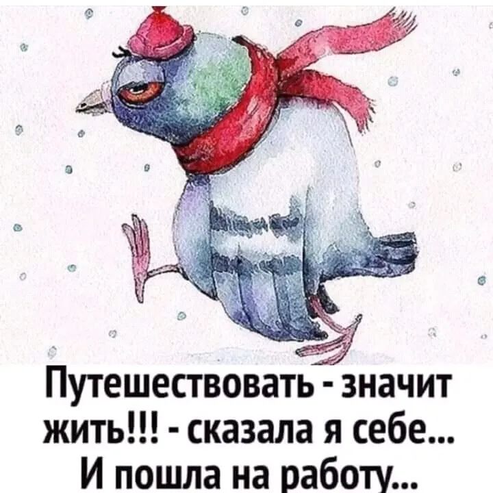 к _ 7 Путешествовать значит жить сказала я себе И пошла на работу