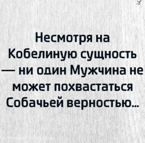 Несмотря на Кобелиную сущность ни один Мужчина не может похвастаться Собачьей верностью
