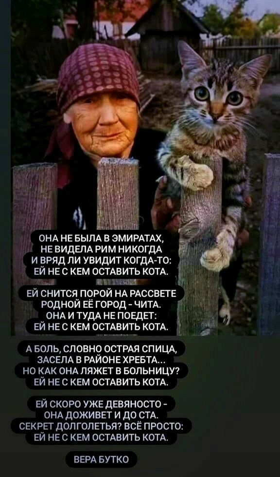 она небыла в эмиратах, невидела рим никогда  70 ивряд ли увидит когдато: е : ей нес кем оставить кота. Ыыа че олуен ей снится порой на рассвете т родной её город  чита. Лаё онаи туда не поедет: а ей нес кем оставить кота. Аболь, словно острая спица, засела в районе хребта... Но как она ляжет в больницу? Ей не с кем оставить кота. Ей скоро уже девяносто  она доживет и до ста. Секрет долголетья? Всё просто: ей нес кем оставить кота. Вера бутко