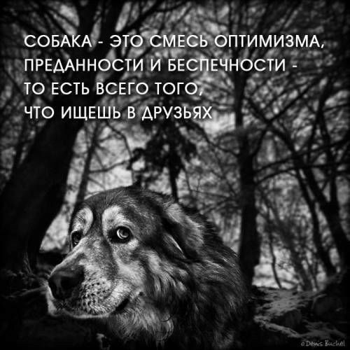 Каа рещщ