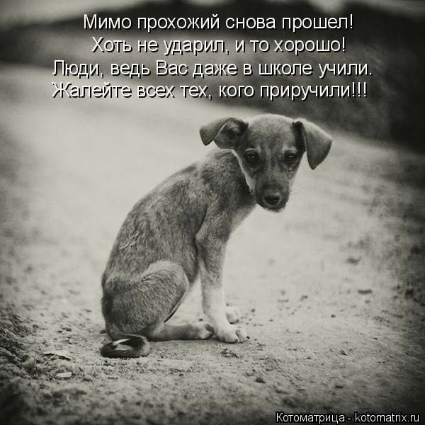 Мимо прохожий снова прошел!
