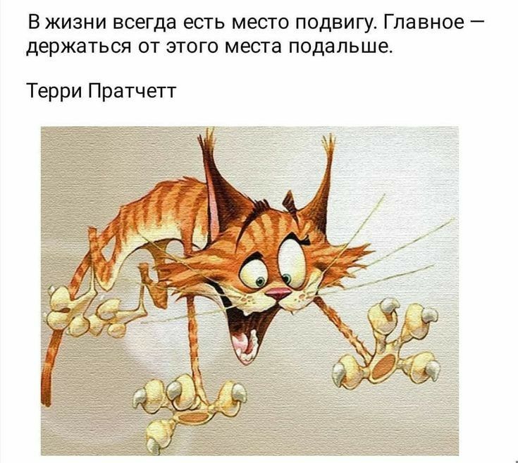 В ЖИЗНИ всегда ЕСТЬ место ПОДВИГУ Главное держаться ОТ ЭТОГО места подальше Терри Пратчетт